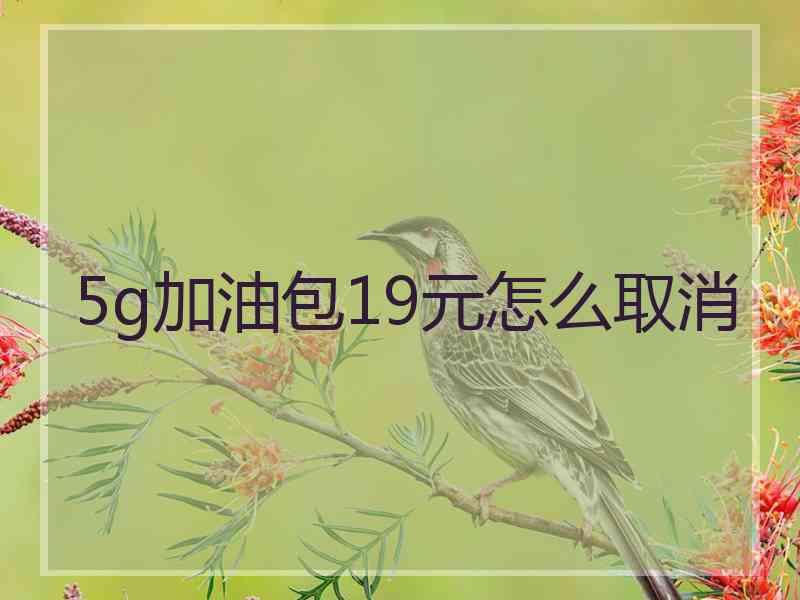 5g加油包19元怎么取消