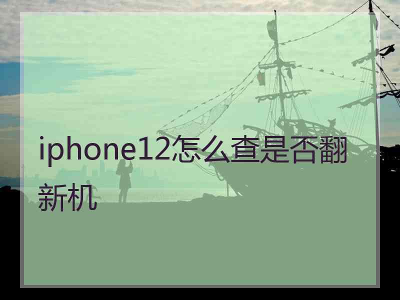 iphone12怎么查是否翻新机