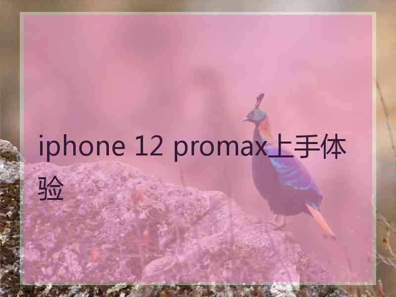 iphone 12 promax上手体验