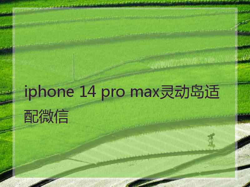 iphone 14 pro max灵动岛适配微信