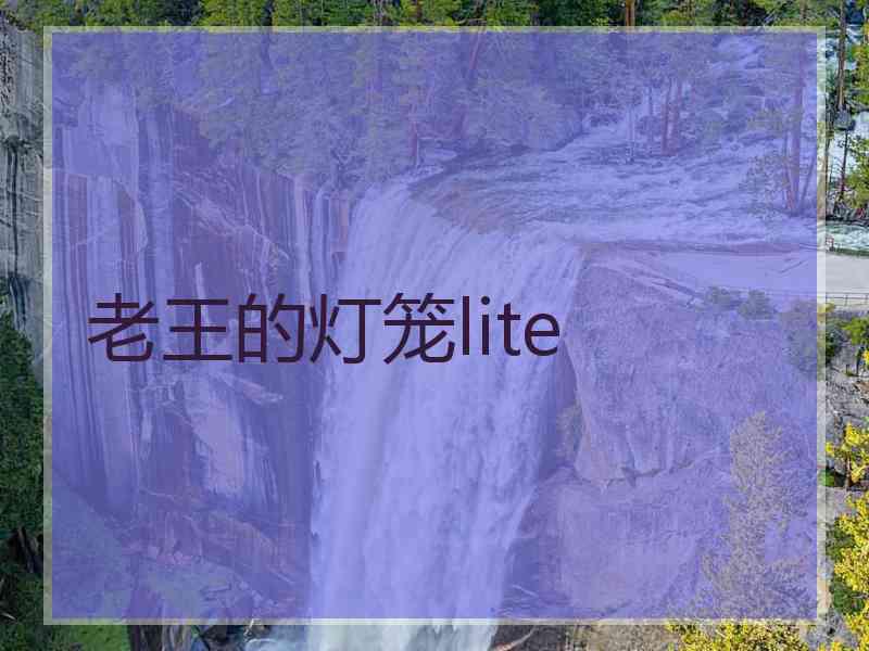 老王的灯笼lite