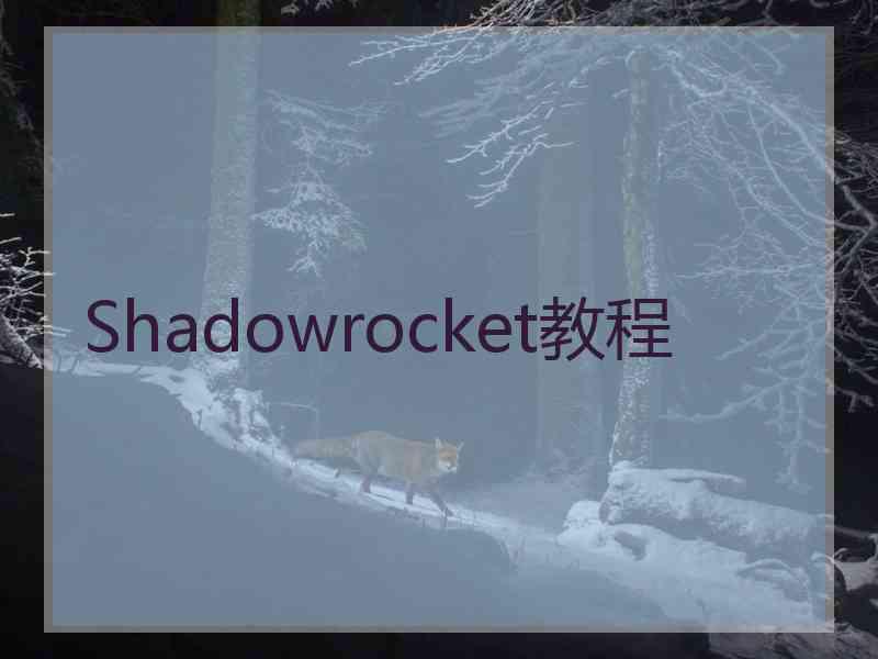 Shadowrocket教程