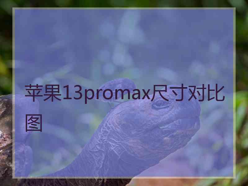 苹果13promax尺寸对比图