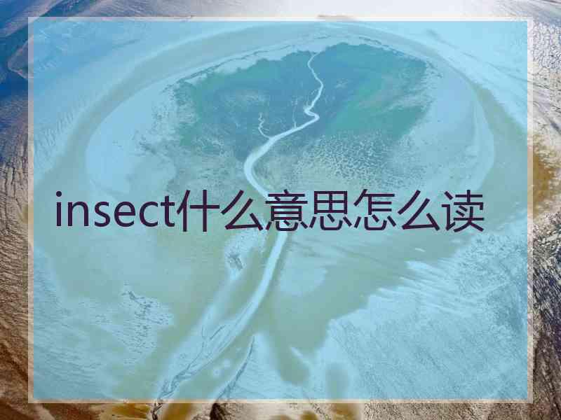 insect什么意思怎么读