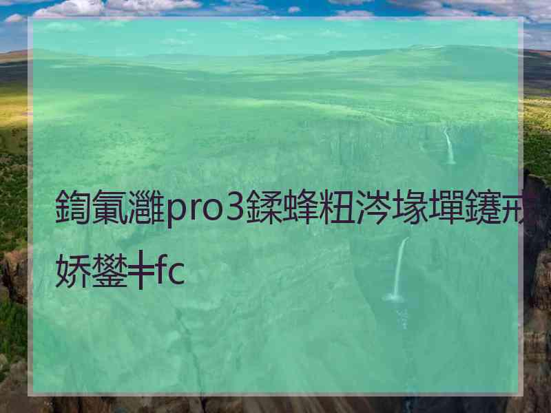 鍧氭灉pro3鍒蜂粈涔堟墠鑳戒娇鐢╪fc