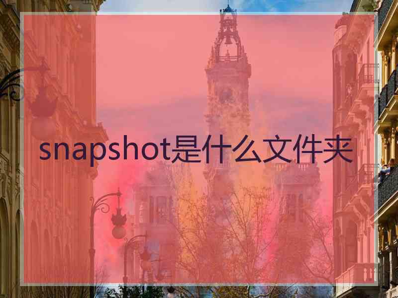 snapshot是什么文件夹