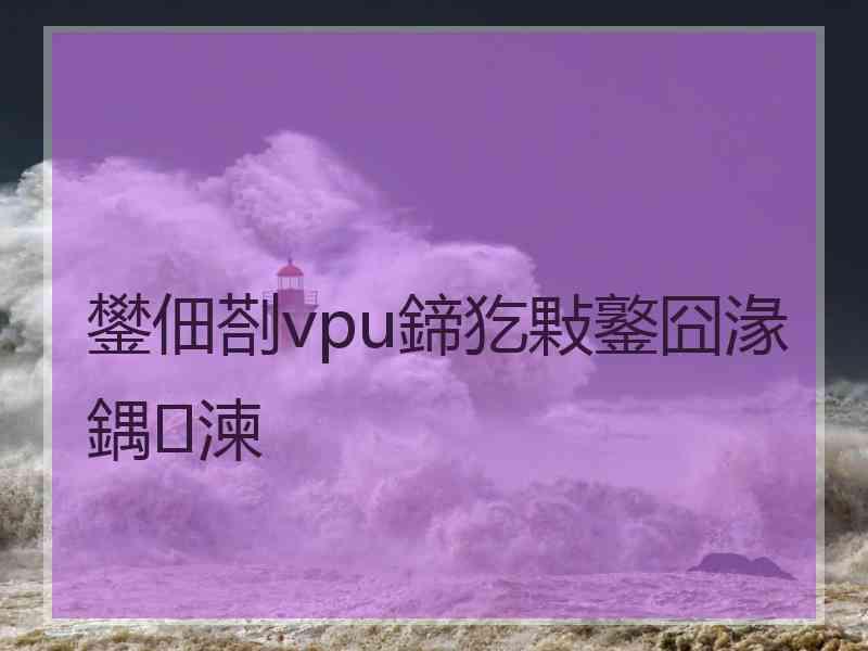 鐢佃剳vpu鍗犵敤鐜囧湪鍝湅