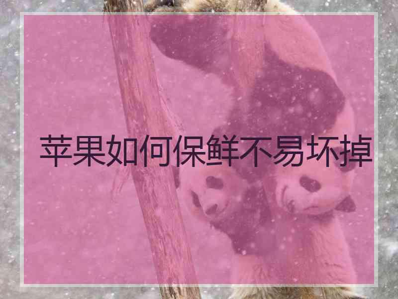 苹果如何保鲜不易坏掉