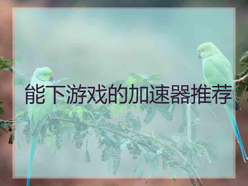 能下游戏的加速器推荐