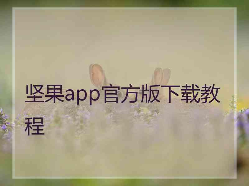 坚果app官方版下载教程