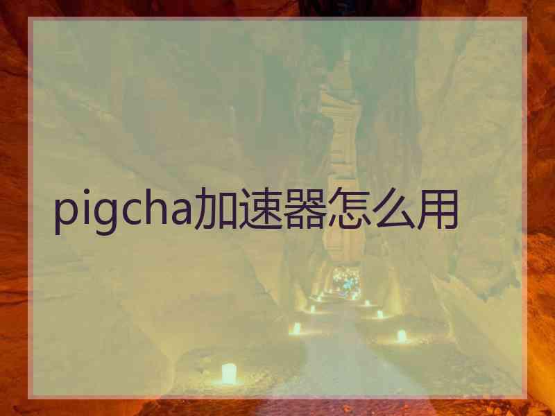 pigcha加速器怎么用