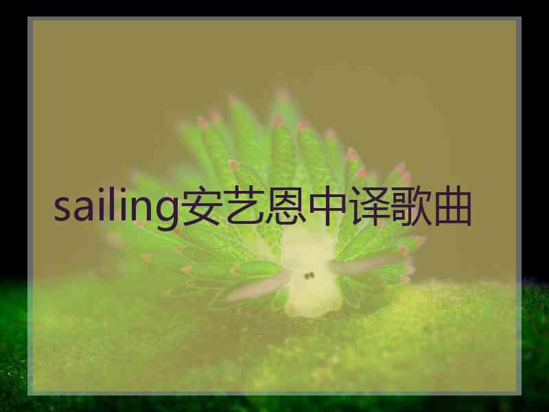 sailing安艺恩中译歌曲