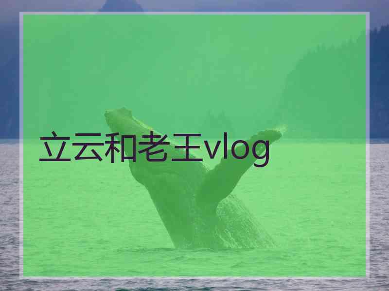 立云和老王vlog