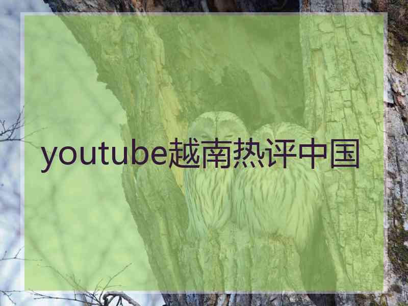 youtube越南热评中国