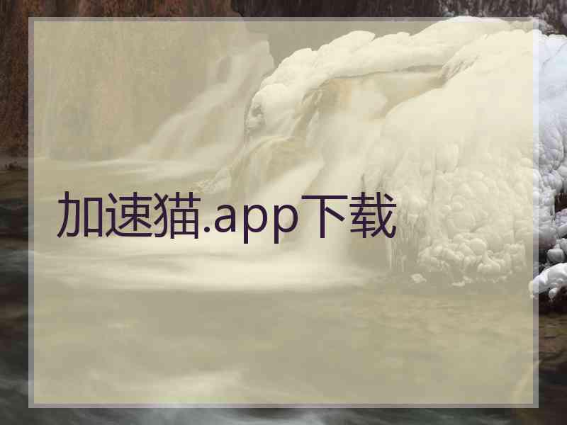 加速猫.app下载