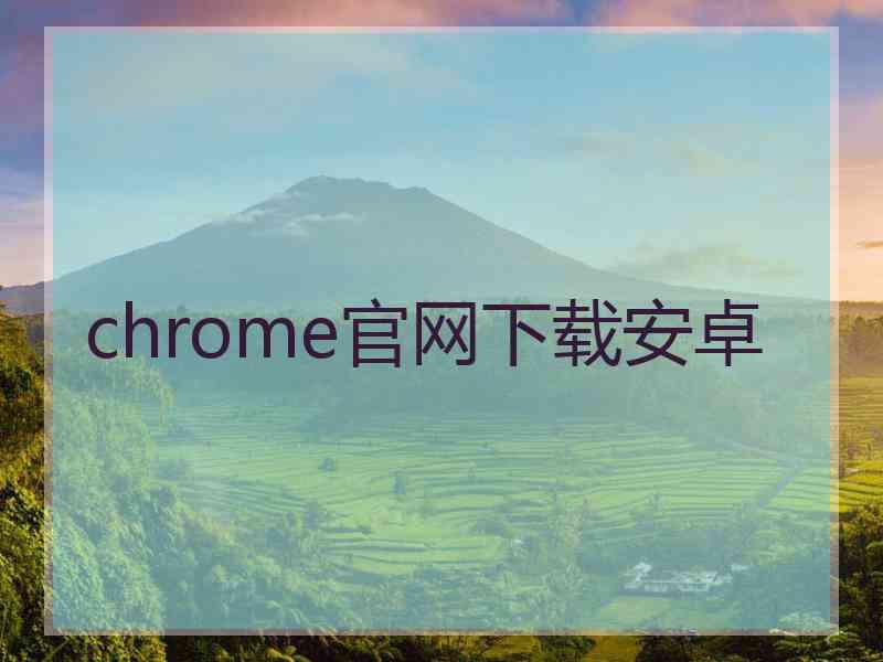 chrome官网下载安卓