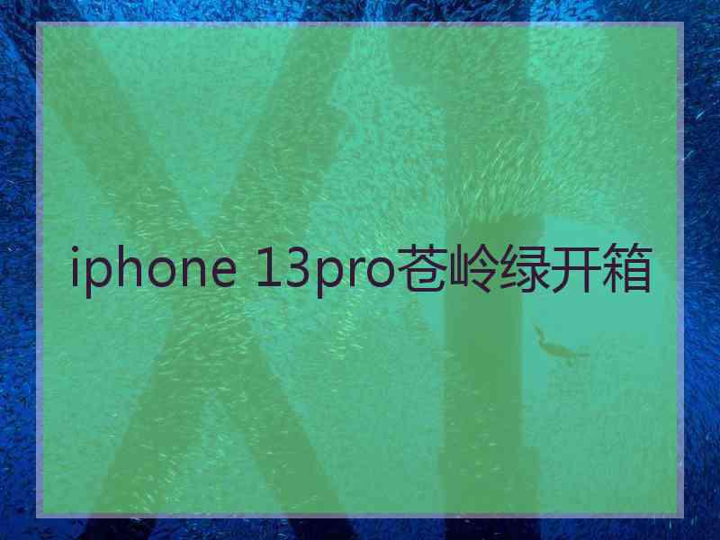 iphone 13pro苍岭绿开箱