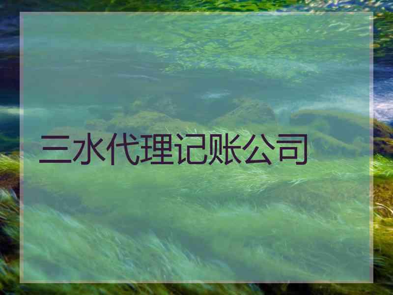 三水代理记账公司