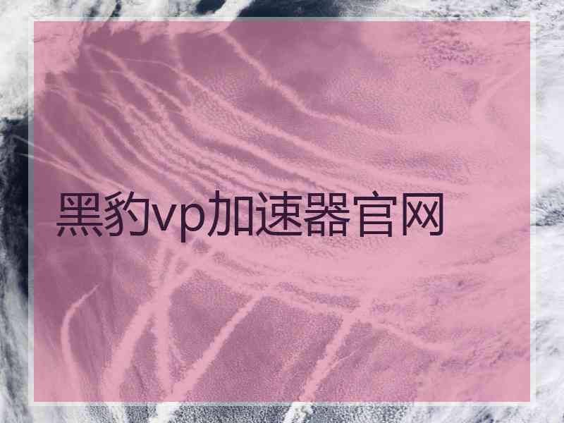 黑豹vp加速器官网