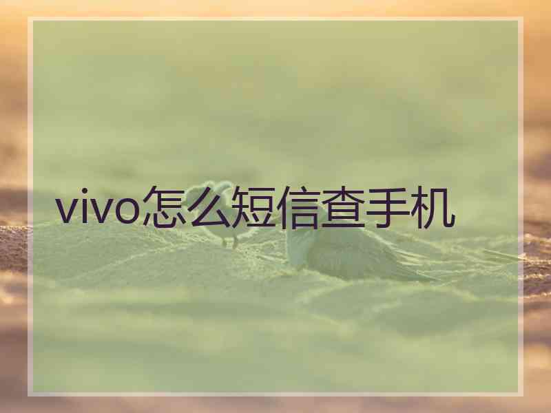 vivo怎么短信查手机