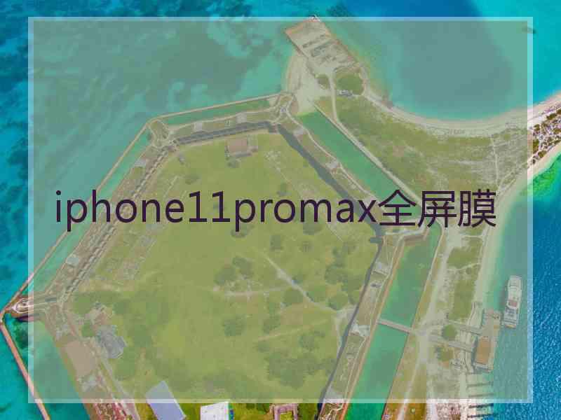 iphone11promax全屏膜