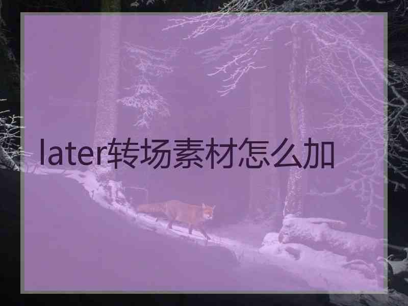 later转场素材怎么加