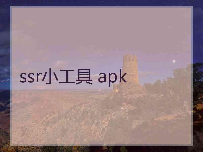 ssr小工具 apk