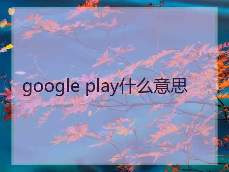 google play什么意思