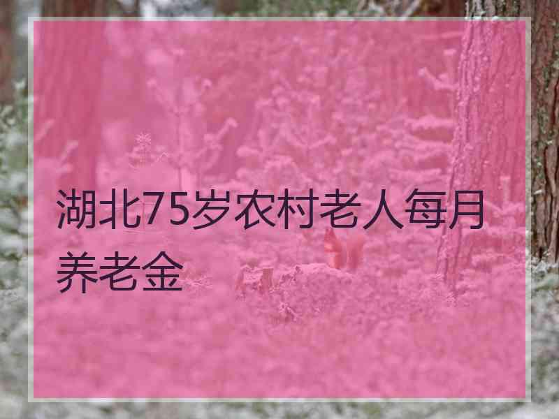 湖北75岁农村老人每月养老金