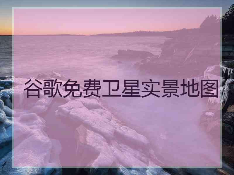 谷歌免费卫星实景地图