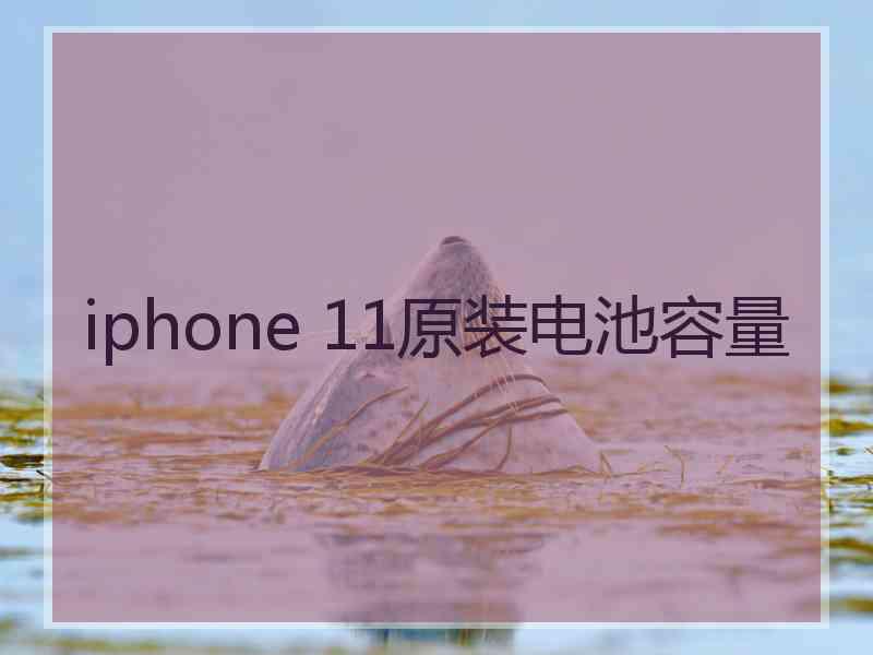 iphone 11原装电池容量