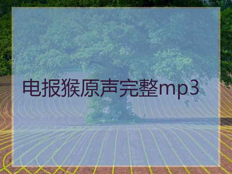 电报猴原声完整mp3