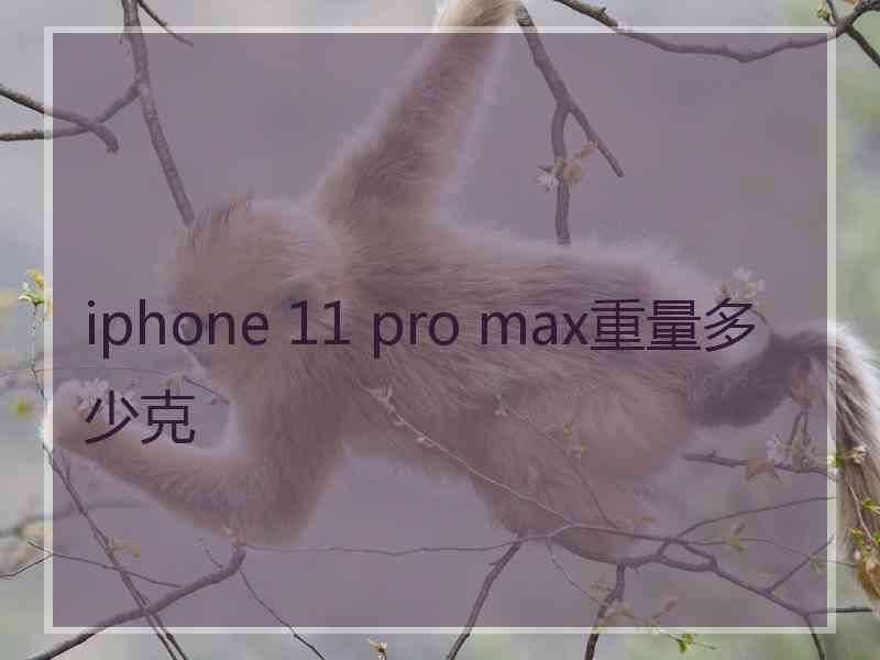 iphone 11 pro max重量多少克