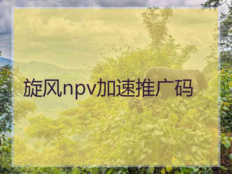 旋风npv加速推广码