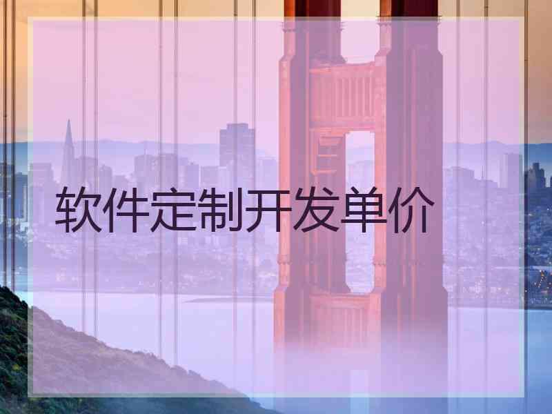 软件定制开发单价