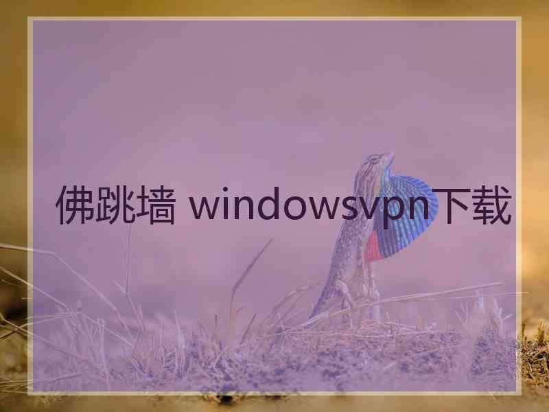 佛跳墙 windowsvpn下载