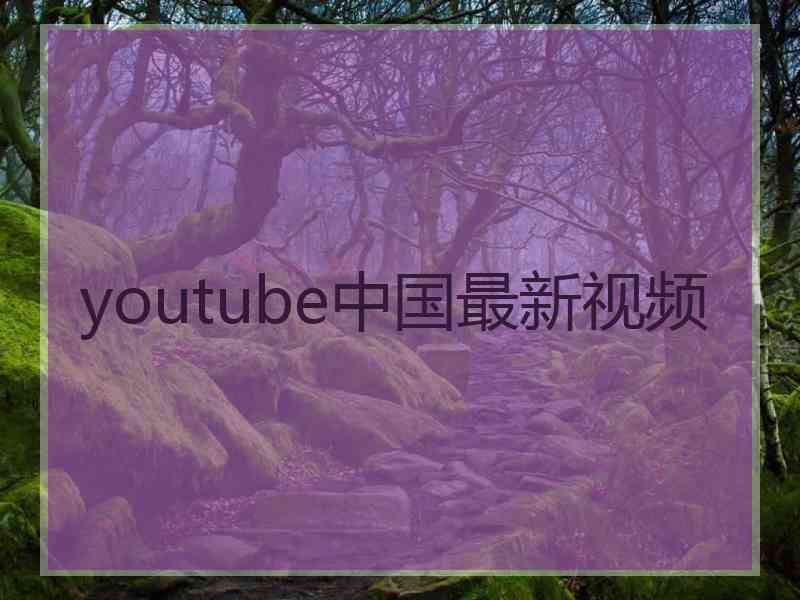 youtube中国最新视频