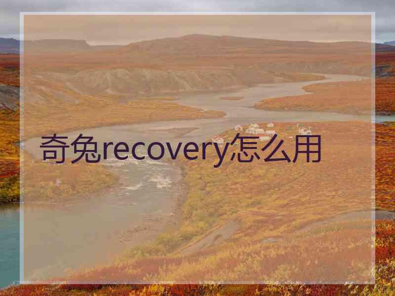 奇兔recovery怎么用