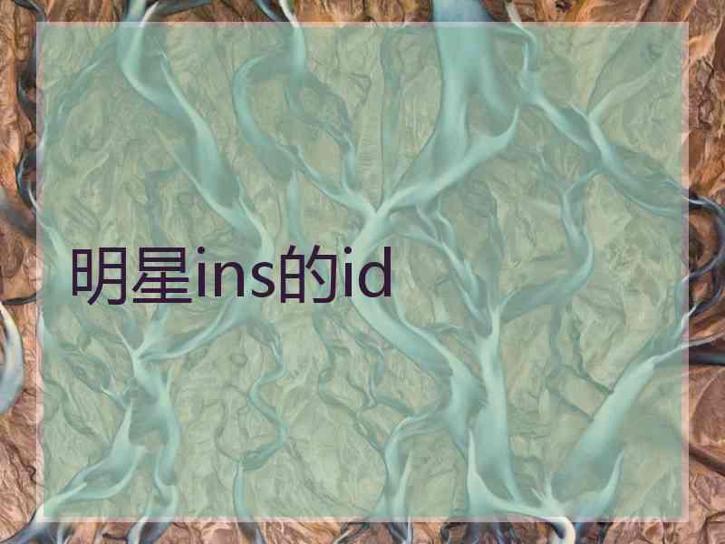 明星ins的id