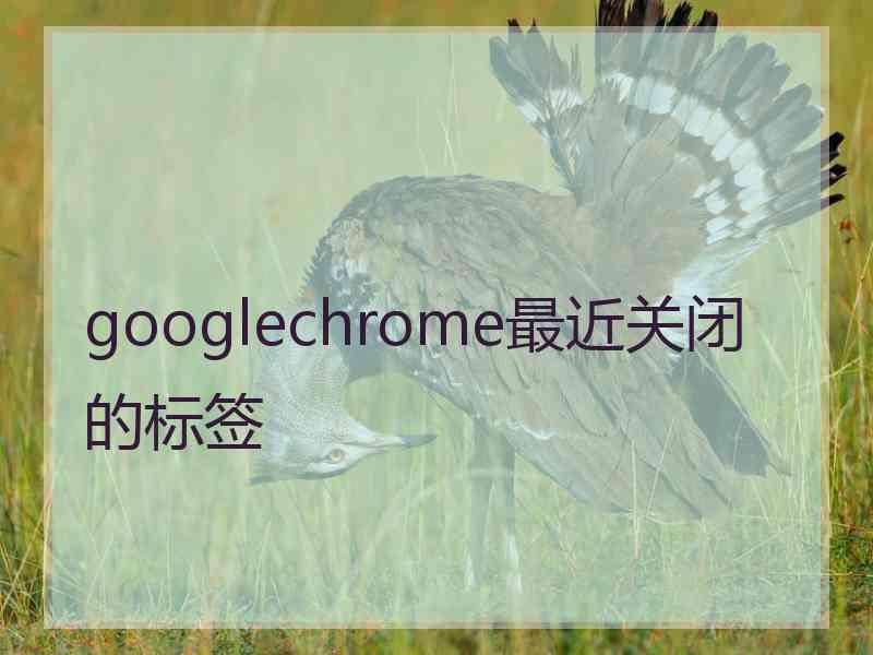 googlechrome最近关闭的标签