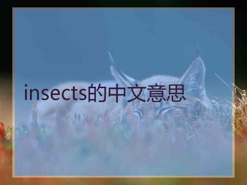 insects的中文意思