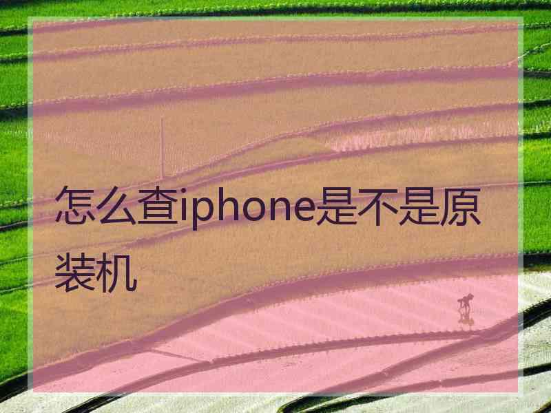 怎么查iphone是不是原装机