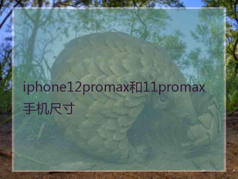 iphone12promax和11promax手机尺寸