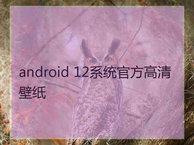 android 12系统官方高清壁纸