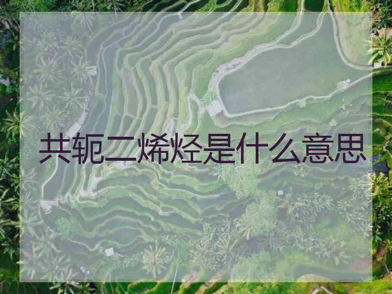 共轭二烯烃是什么意思