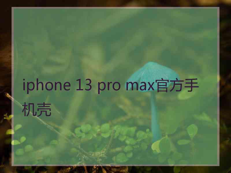 iphone 13 pro max官方手机壳