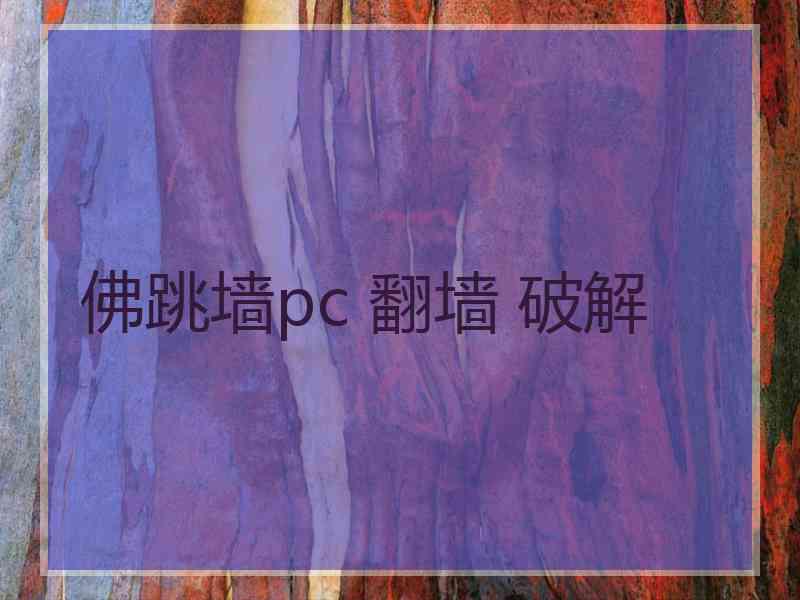 佛跳墙pc 翻墙 破解