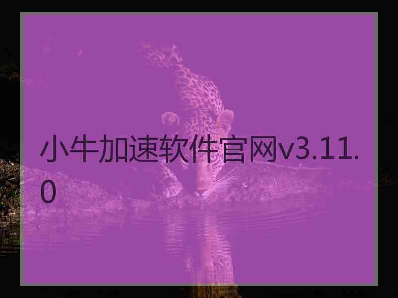 小牛加速软件官网v3.11.0