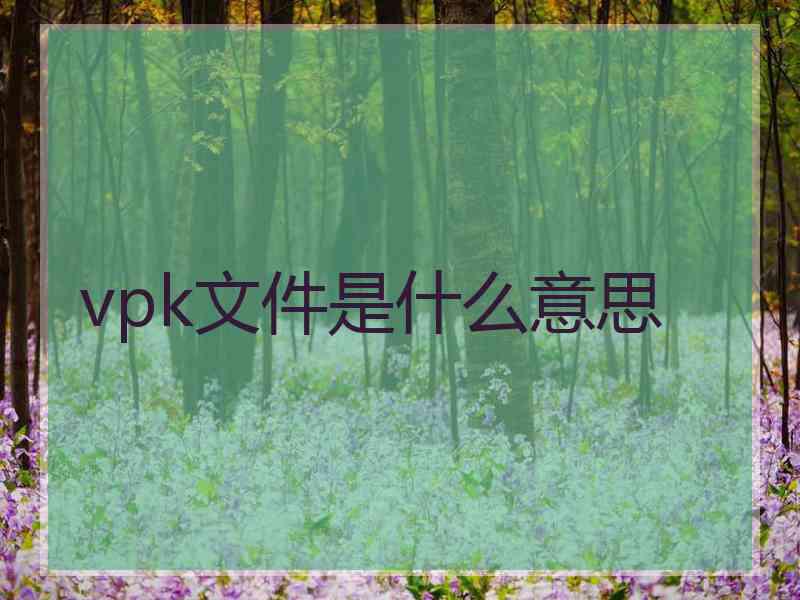 vpk文件是什么意思