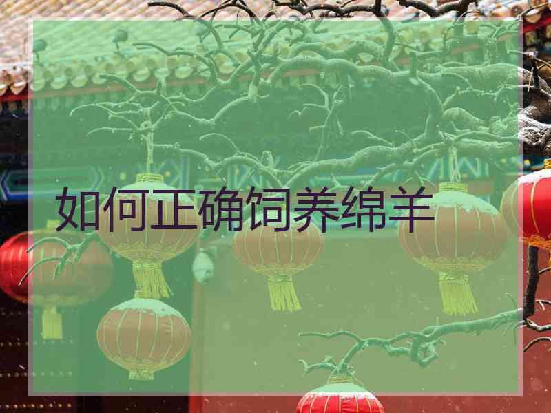 如何正确饲养绵羊